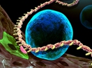 The artistic image shows hematopoietic stem cell (blue) budding