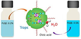 DICP Scientists reveal the photophysical mechanism of lead-free perovskite nanocrystals.jpg