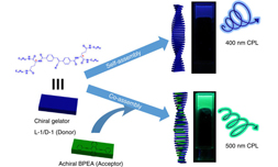 Scientists Discover Chirality and Energy Transfer Amplified CPL in Composite Nanohelix