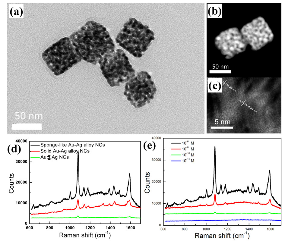 sponge-like Au-Ag NCs