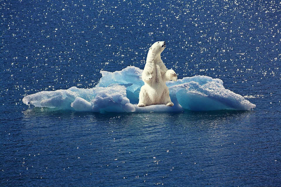 climate change.jpg