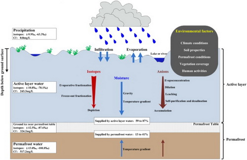 The conceptual diagram of the sources and the moisture and salt migration of ground ice in the permafrost regions of the central QTP.jpg