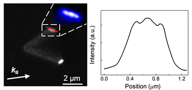 Scientists Observe and Manipulate Visible Edge Plasmons in Bi<sub>2</sub>Te<sub>3</sub> Nanoplates