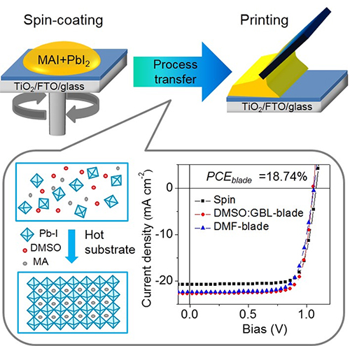 Scientists Achieve Phase Transition Control for High-Performance Blade-coated Perovskite Solar Cells