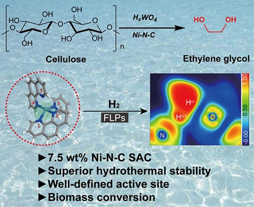 Single-Atom Catalyst.jpg