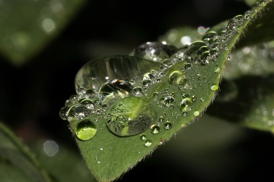 precipitation.jpg