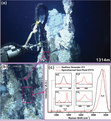 In-situ Raman Quantitative Method.png
