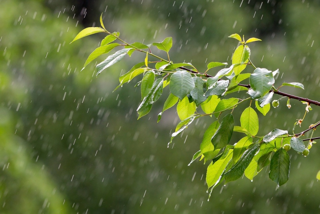 Major Factors Affecting Summer Rainfall over Yangtze River Basin Experience Subseasonal Change