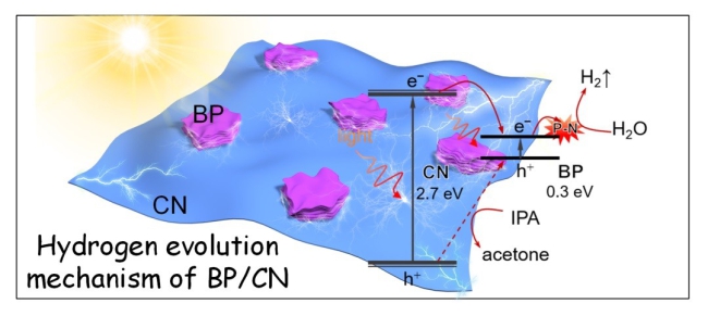 Hydrogen evolution mechanism of BP/CN.jpg