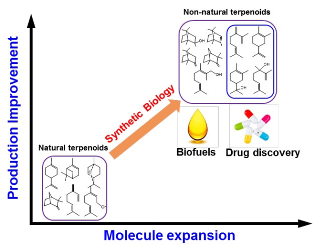 Scientists Deliver Commentary on Terpenoid Biosynthesis