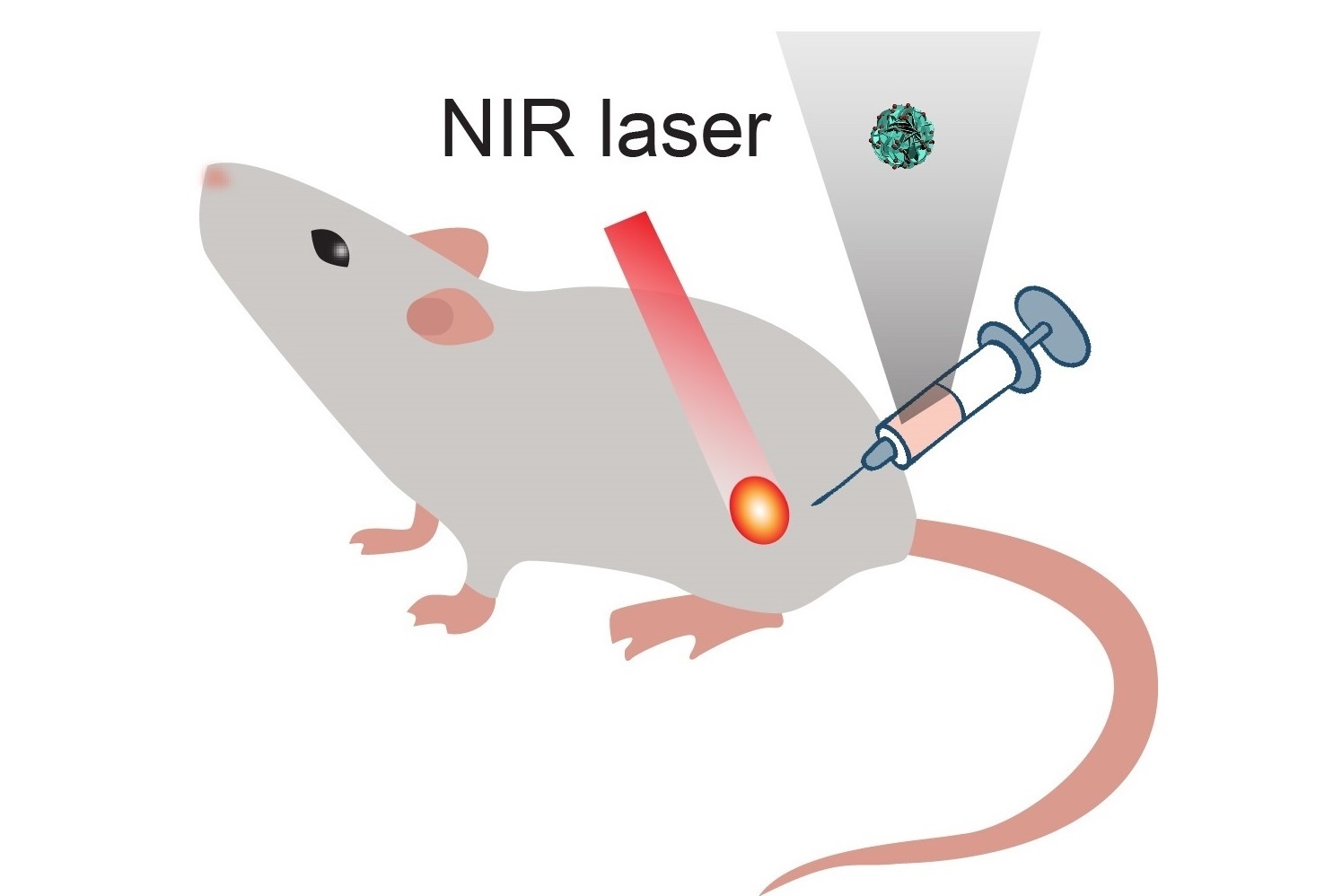 Scientists Develop A New Strategy of Magnetic Resonance Guided Thermochemotherapy toward Cancer