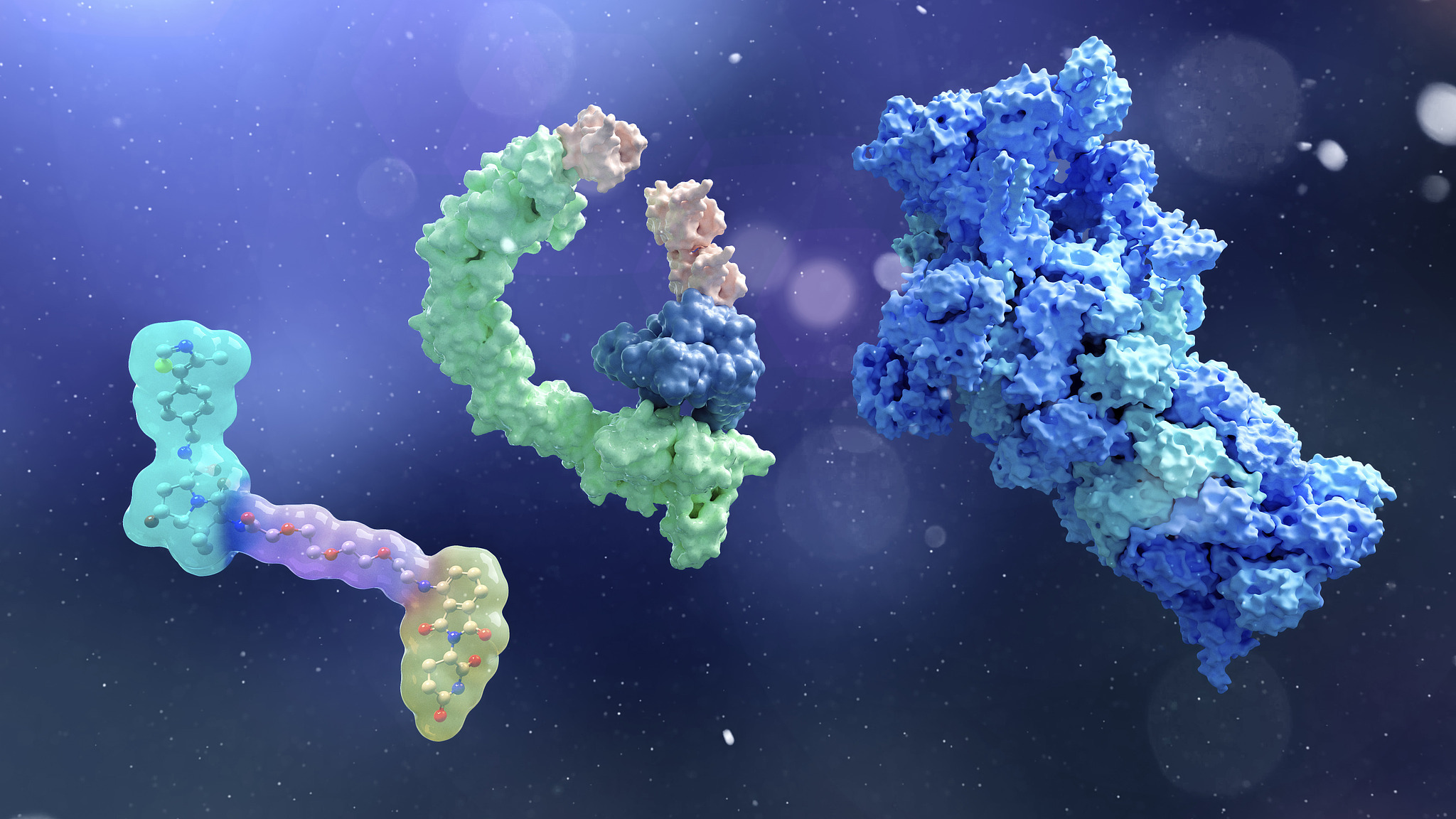 Chinese Scientists Achieve Breakthrough in Precise Protein Degradation