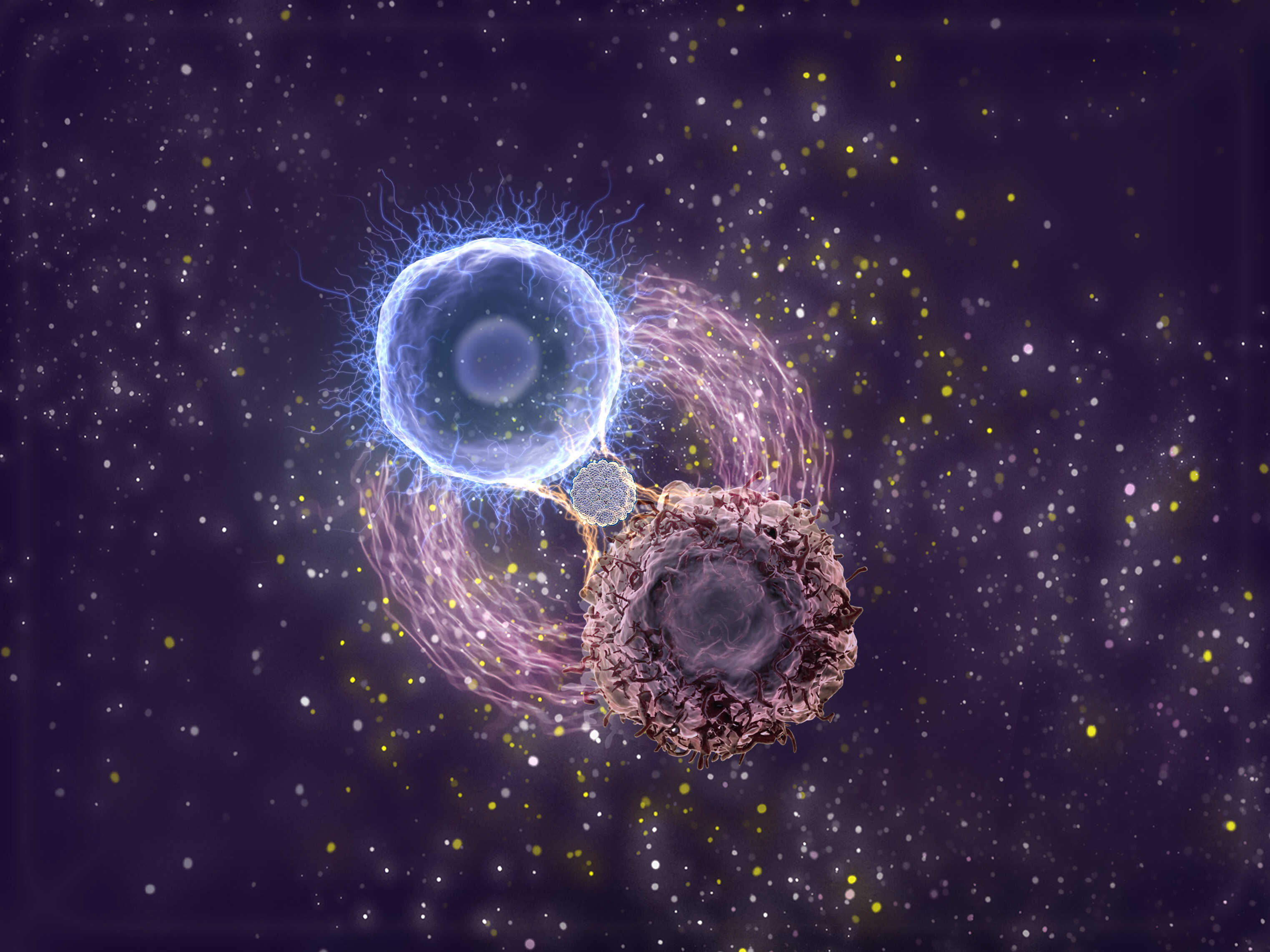 Chinese Scientists Develop 