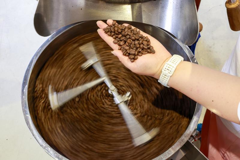 Study Reveals Endophytic Fungi Fermentation Enhances Coffee Flavor