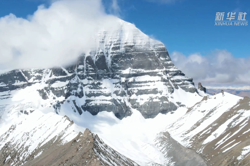 Study Offers New Understanding of How 