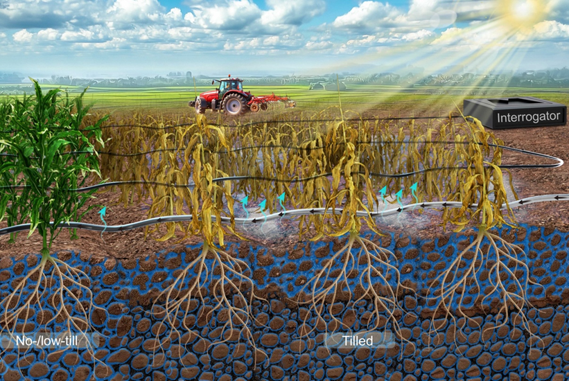 Deep Plowing Can Disrupt Soil's Porous Network, Study Finds