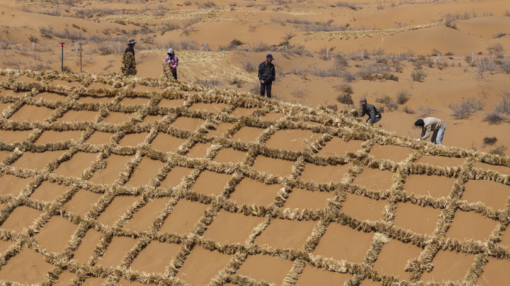New Study Adds Scientific Support for Regional Desertification Control, Eco-restoration