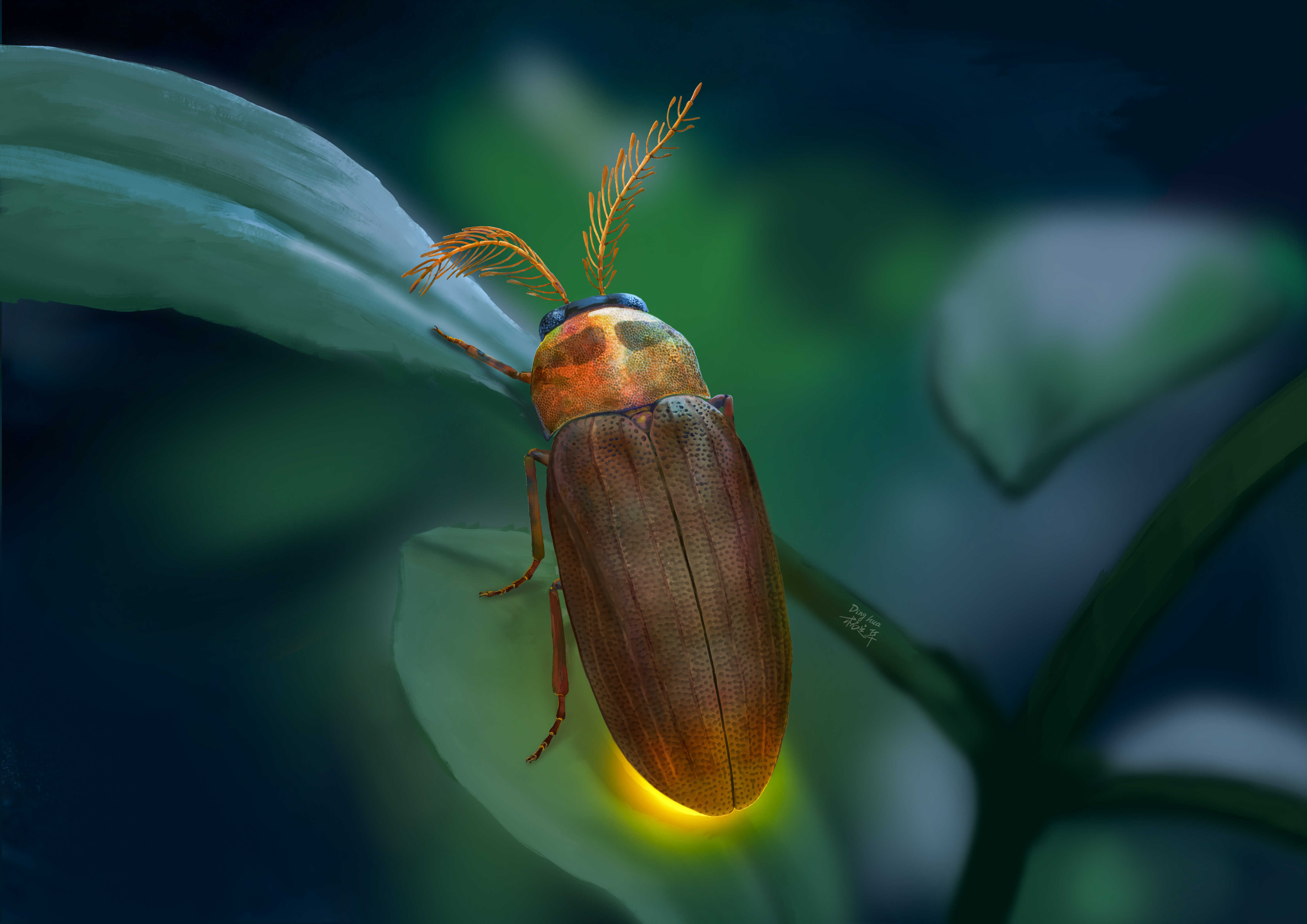 Ancient Beetle Fossil Sheds Light on Firefly Glow and Antenna Evolution