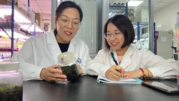 Xinjiang Scientific Expedition Finds 