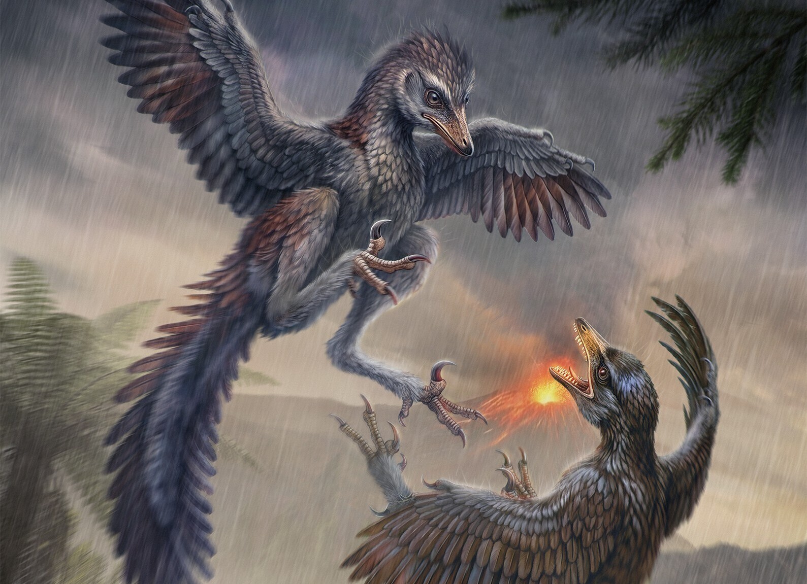 Jurassic Fossil Found in East China Challenges Assumptions about Early Bird Evolution