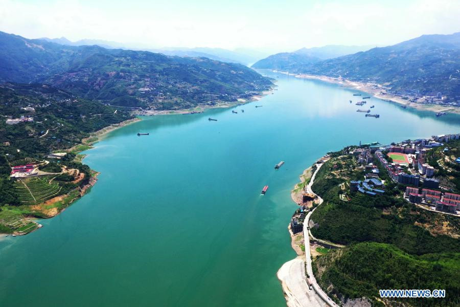 More Action Needed to Save Yangtze Fish
