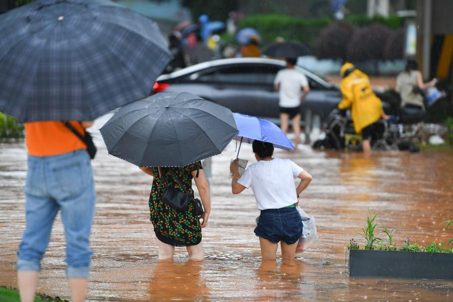 Study Reveals Human Impact on Increased Rainfall Variability Over Past Century