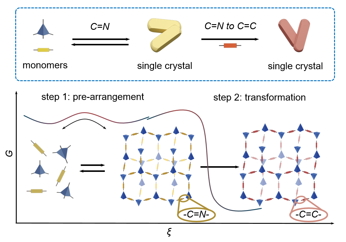 Scientists Synthesize Single-crystal Sp² Carbon-linked Covalent Organic Frameworks