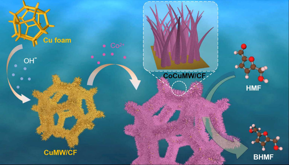 Scientists Develop Corrosion-Induced Electrodes for Biomass Upgrading