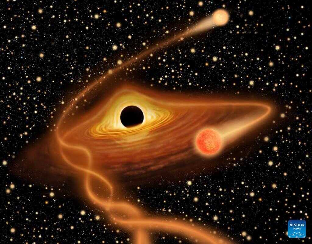 Chinese Scientists Find Evidence for Existence of Intermediate-mass Black Holes