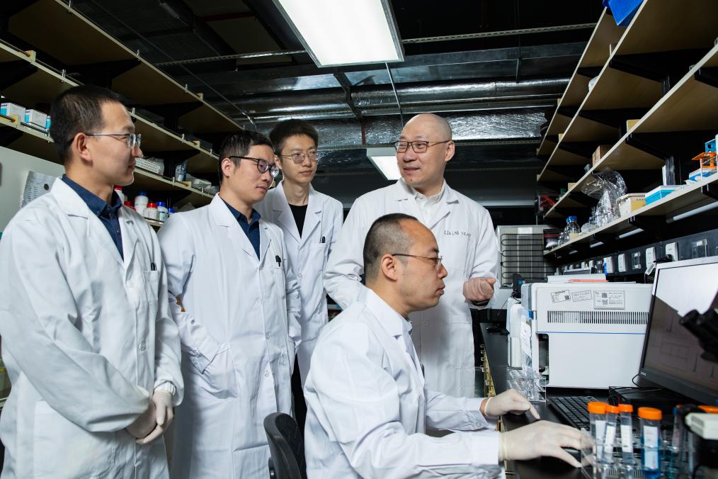 Chinese Scientists Reveal Key Mechanism behind Bacterial Cancer Therapy