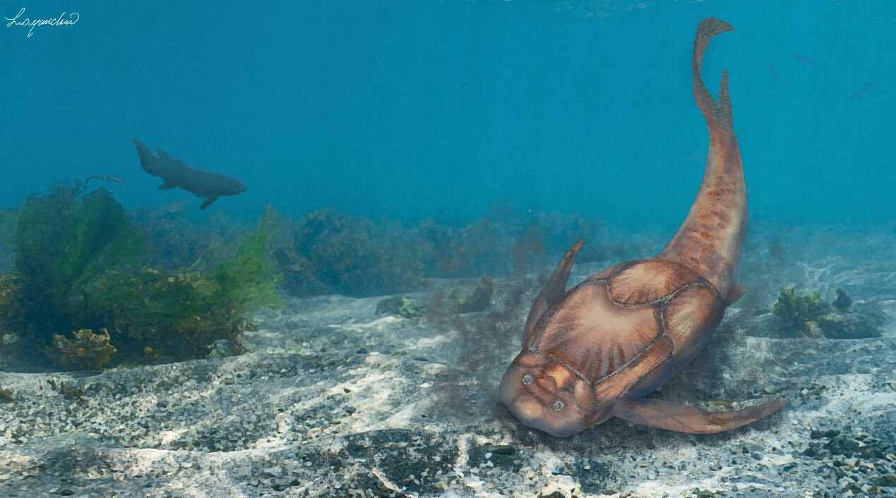 Ancient Fish Fossil Reveals Vertebrate Evolution from 300 Million Years Ago