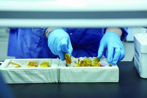 China's Space Station Delivers New Samples for Research