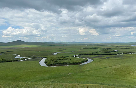 Vegetation Changes Accelerated Climate Shifts during Late Miocene: Study