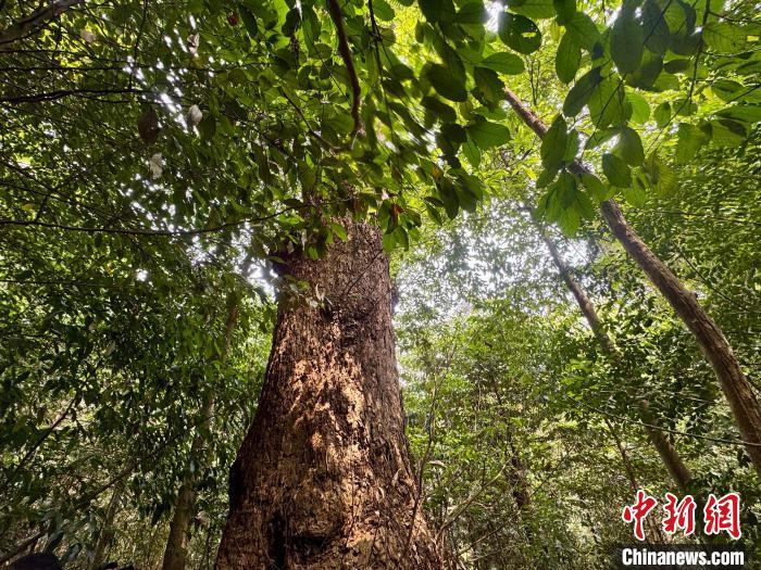 UNESCO Biosphere Congress to Convene in China for First Time