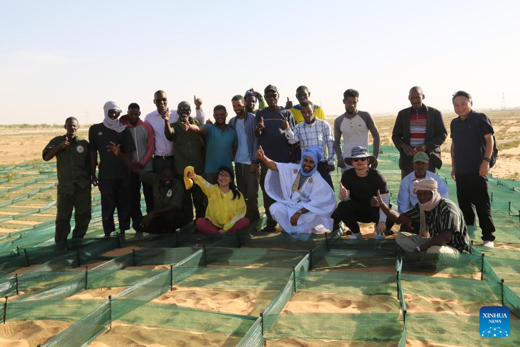 A Shared Mission: Greening Africa's Deserts with Chinese Expertise