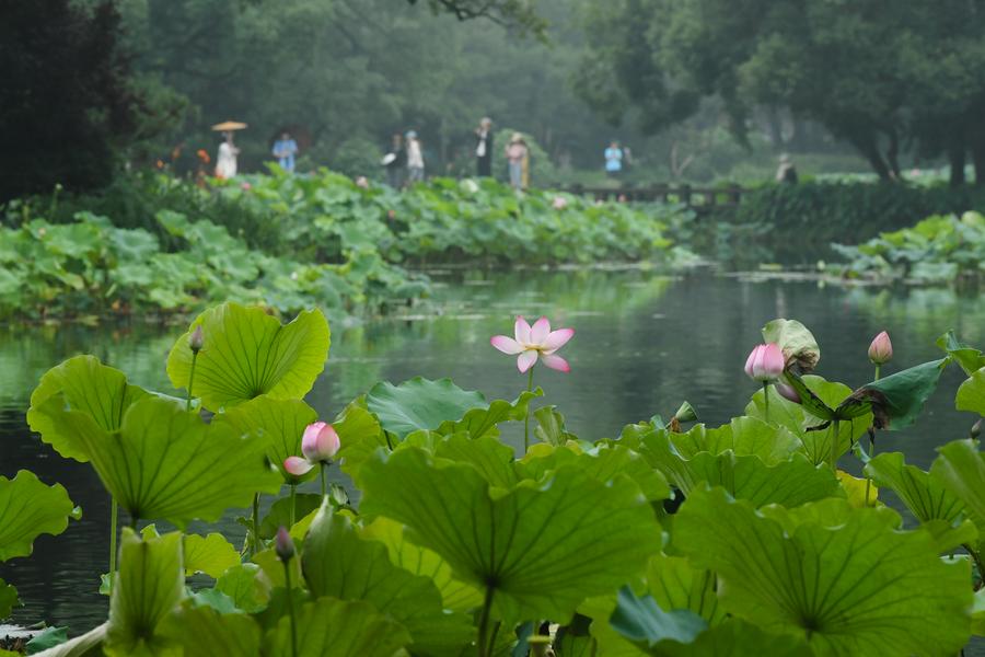 Hangzhou to Host 5th World Congress of Biosphere Reserves This Month