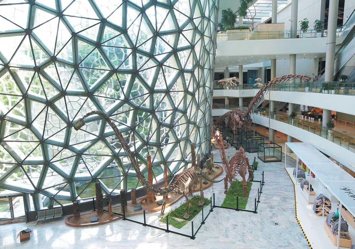 Down to the Bones of the Matter