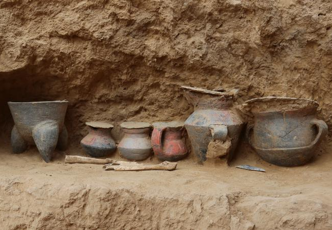Ancient DNA Reveals Kinship, Social Structure of China's Prehistoric Shimao City