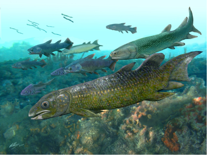 Chinese Scientists Discover New Fossil Lungfish Species<br/>