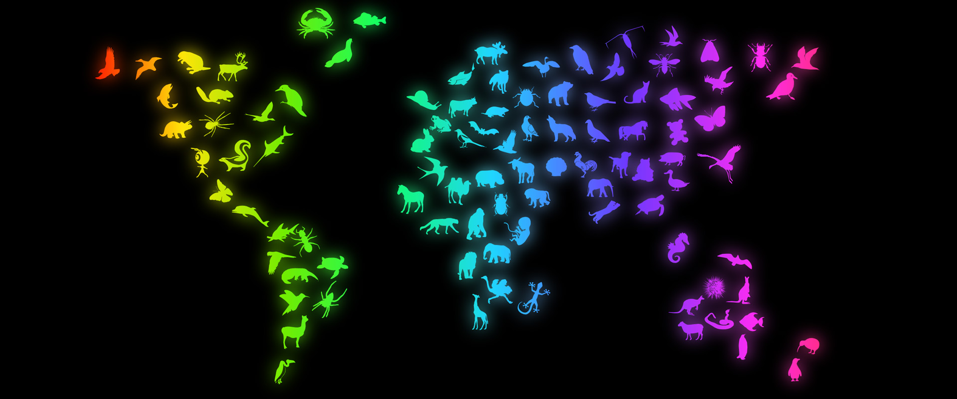 COP 15: Building a Shared Future for All Life on Earth