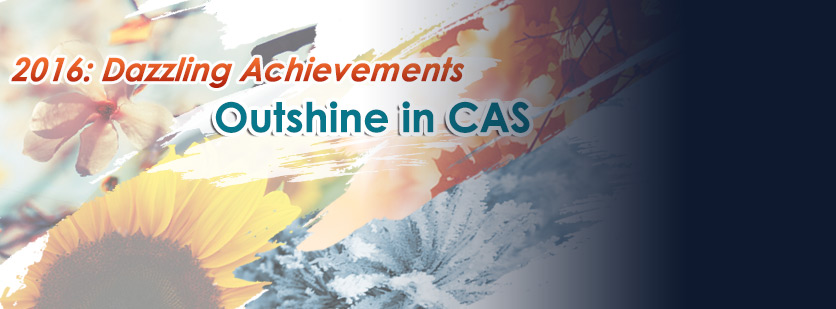 2016: Dazzling Achievements Outshine in CAS