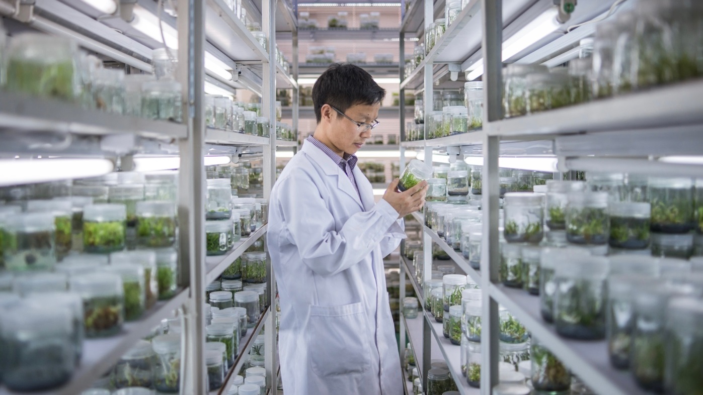 Checking plants inside the in vitro bank.jpg