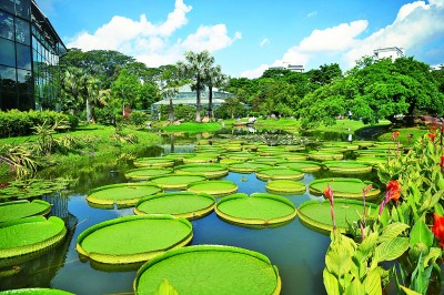 China's Second National Botanical Garden Opens, in Guangzhou