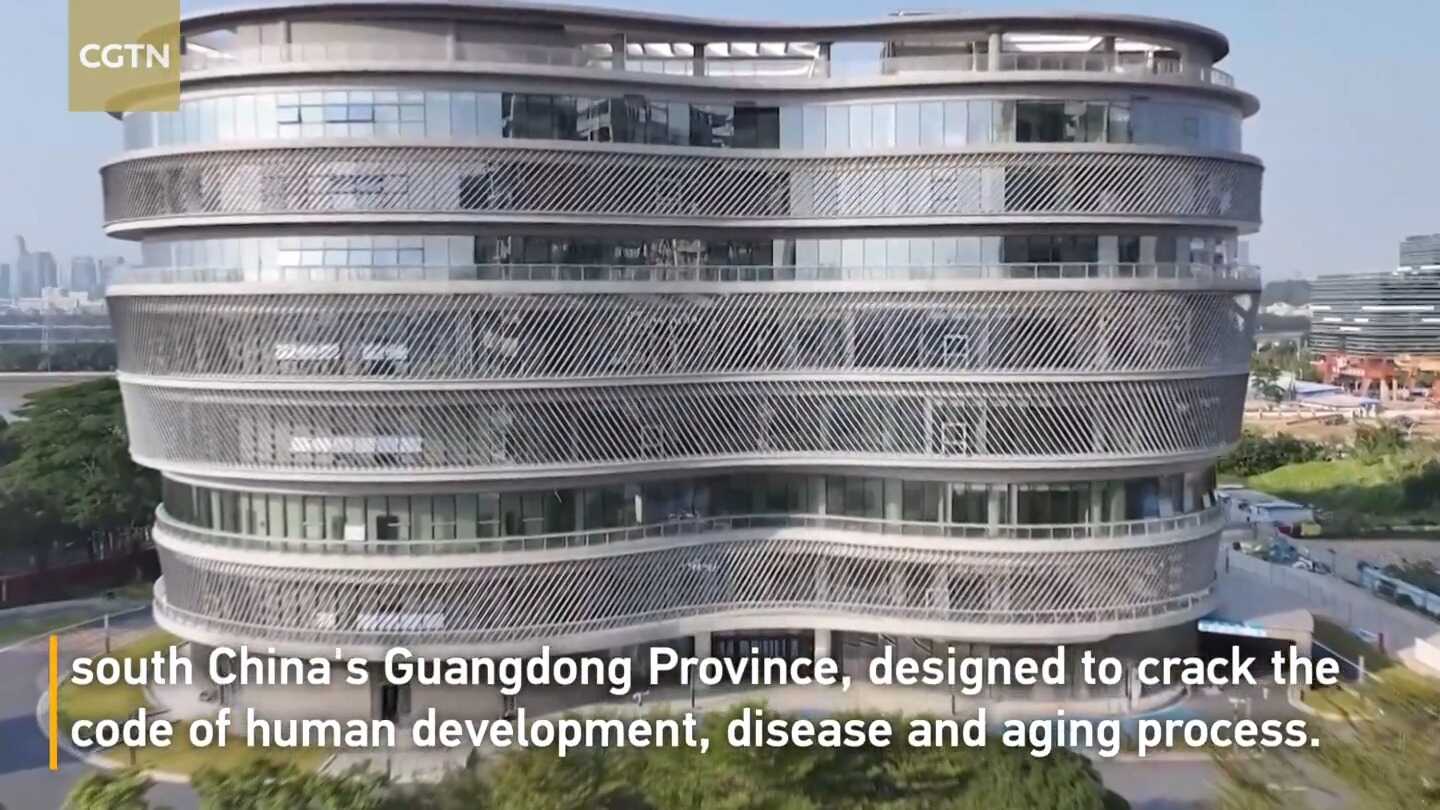 Chinese Scientists Launch Cellular Research Project to Decode Secrets of Life, Disease, Aging