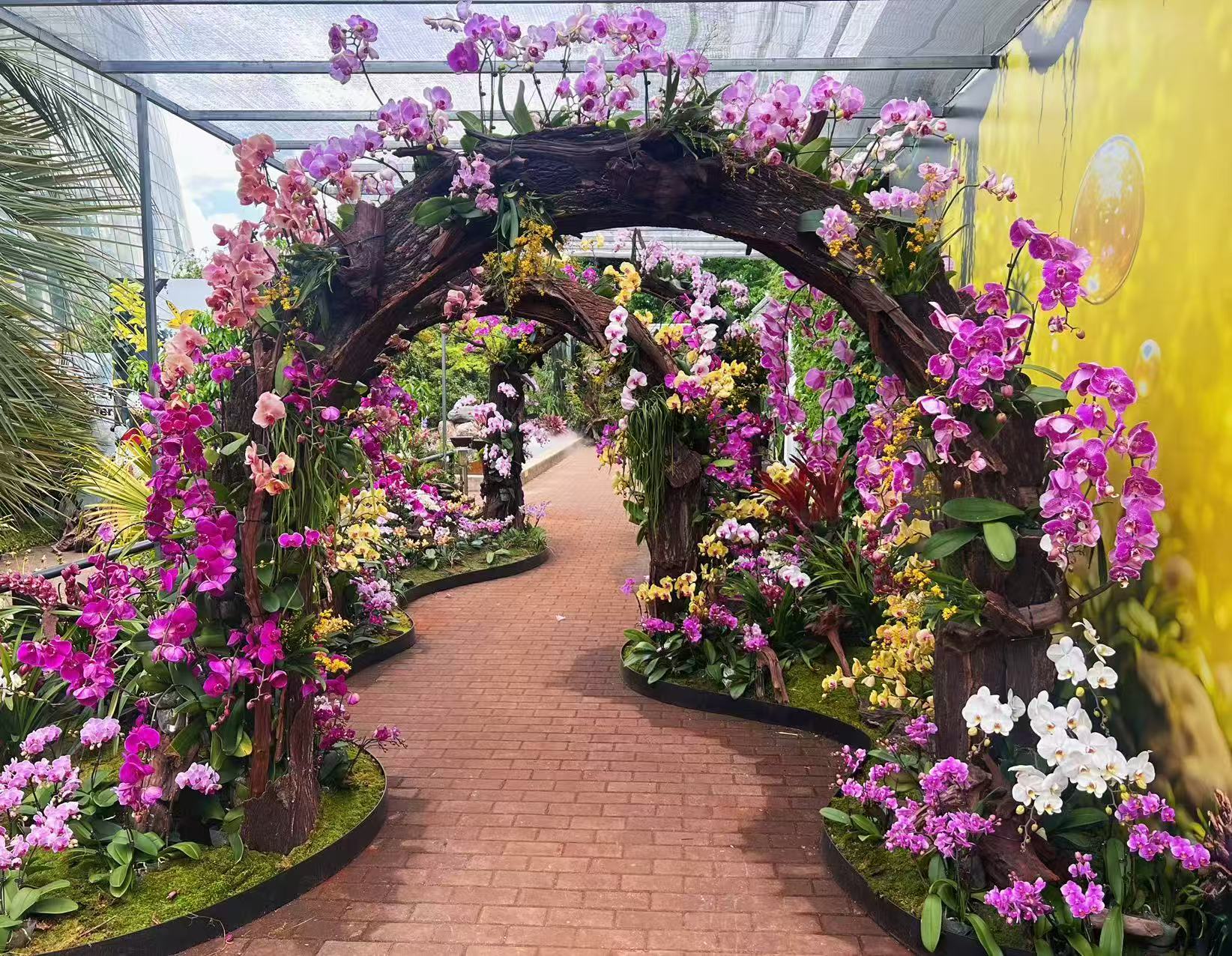 Orchid Exhibition in Southwest China Aims to Raise Public Awareness about Biodiversity