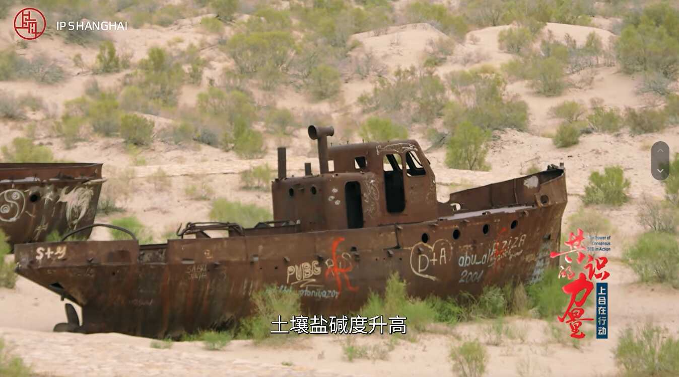 The Power of Consensus: The SCO in Action｜ A Shared Green Vision