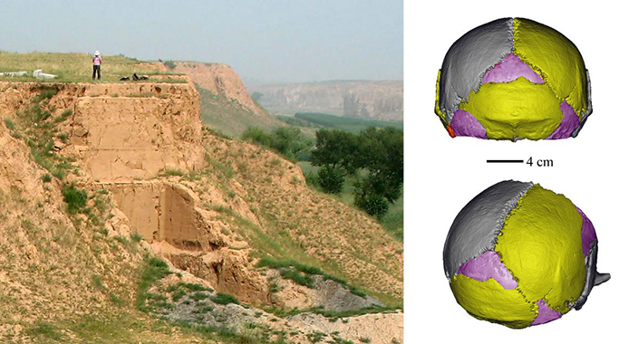 Researchers Piece Together Evidence of 'Big-headed Man'