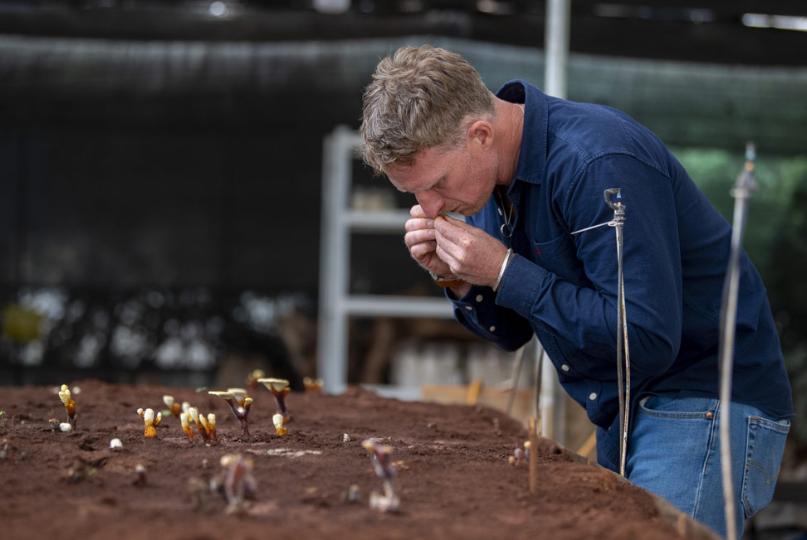 A Yunnan Researcher's Plan for Plastic Waste: Feed It to the Fungi
