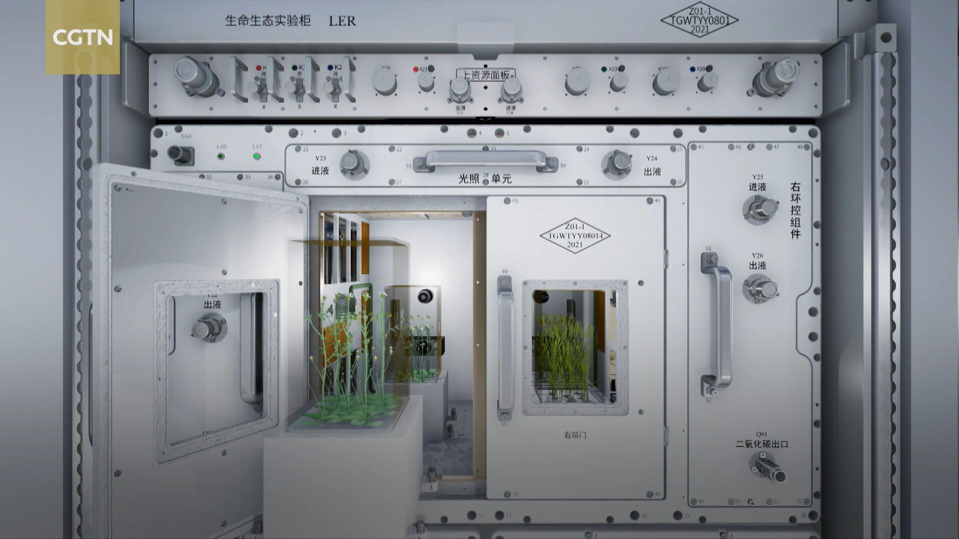 Wentian Lab's Application System Is Working Well, with Plant Experiments Underway