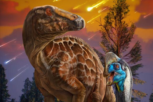 Fossil Eggs Show Dinosaur Decline before Extinction